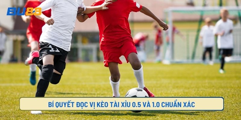 Cách đọc kèo tài xỉu 0.5 và tài xỉu 1.0