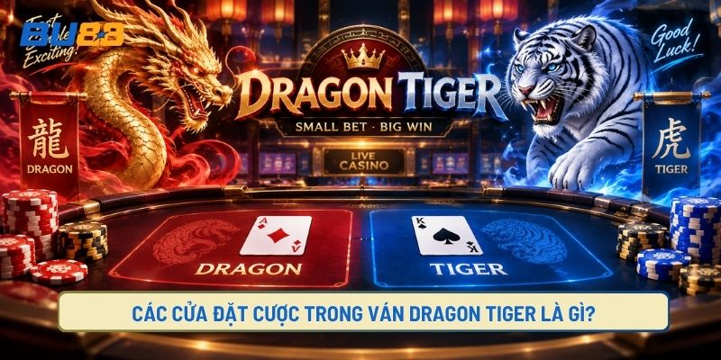Game rồng hổ gồm các của cược nào?