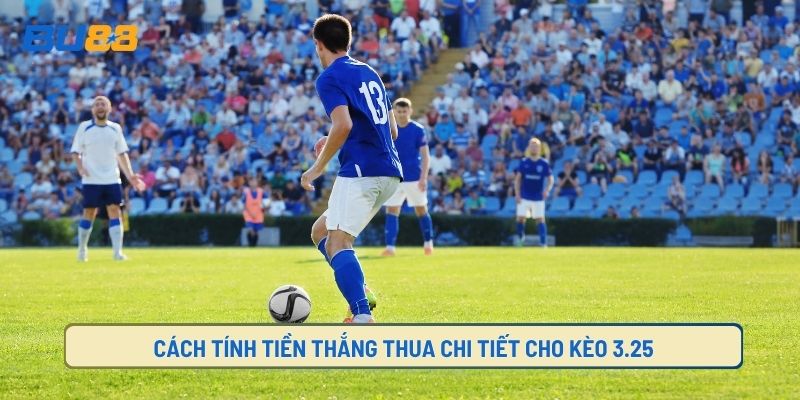 Cách tính tiền nửa thắng nửa thua cho người mới