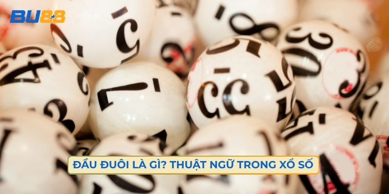 Đầu Đuôi Là Gì? Thuật Ngữ Trong Xổ Số