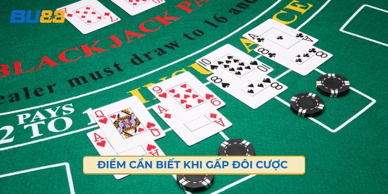 Những Điểm Cần Biết Trước Khi Chọn Gấp Đôi Cược 