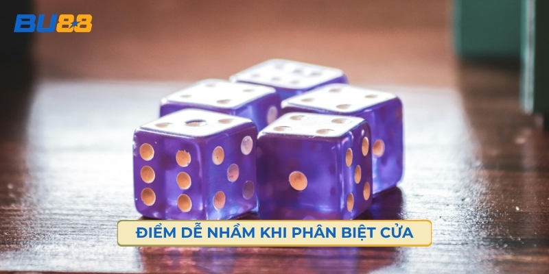 Những Điểm Dễ Nhầm Khi Phân Biệt Cửa