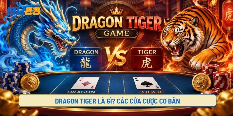 Dragon Tiger Là Gì? Các Cửa Cược Cơ Bản