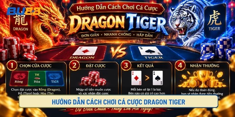 Hướng Dẫn Cách Chơi Cá Cược Dragon Tiger
