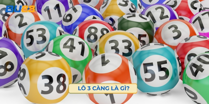 Lô 3 Càng Là Gì? Cách Phân Biệt Lô 3 Càng Với Lô 2 Số