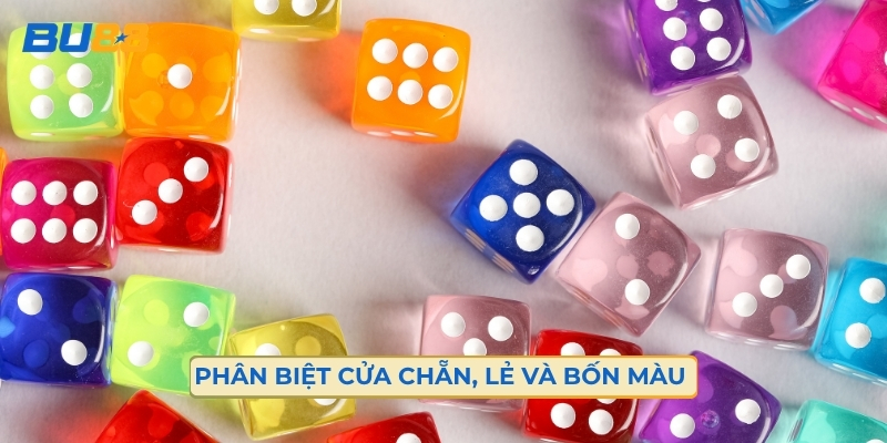 Phân Biệt Cửa Chẵn, Lẻ Và Bốn Màu 