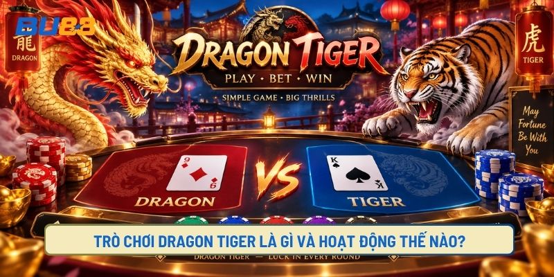 Tìm hiểu về Dragon Tiger là gì?